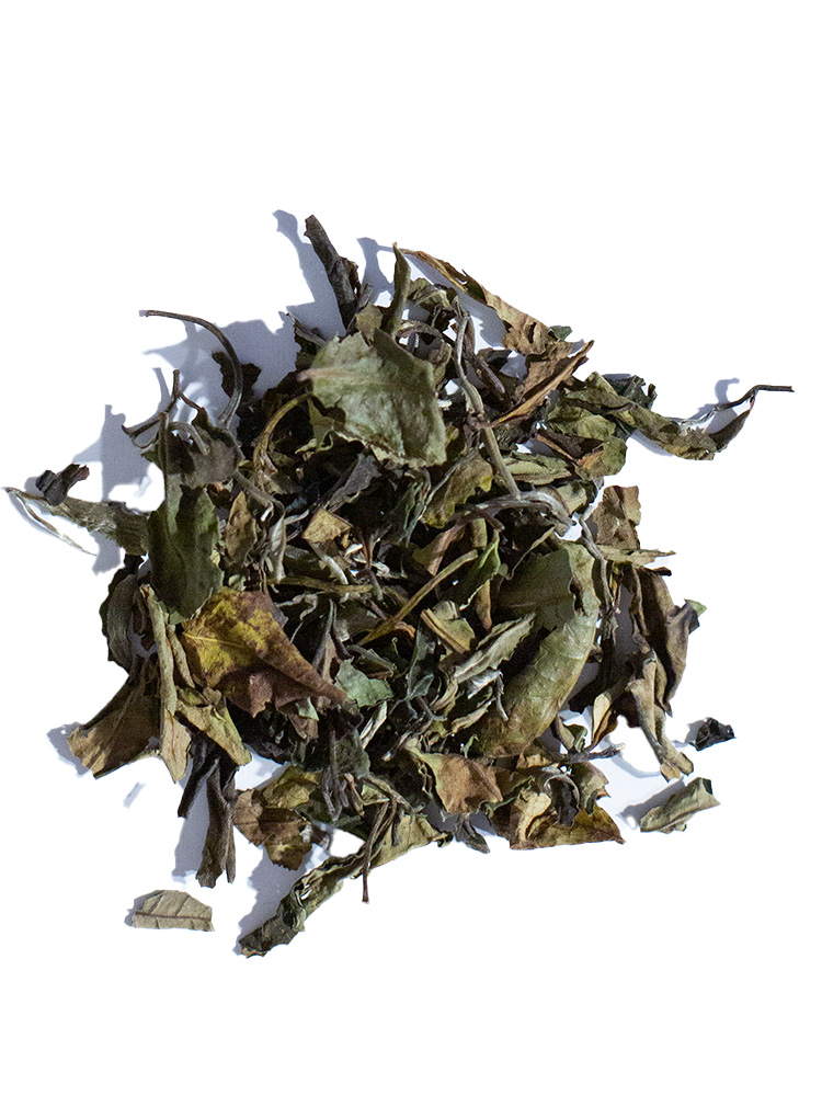Pai Mu Tan